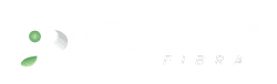 PirajaNet